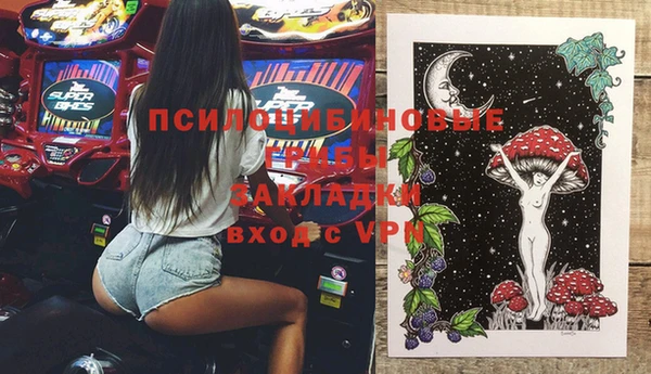 МДПВ Пролетарск